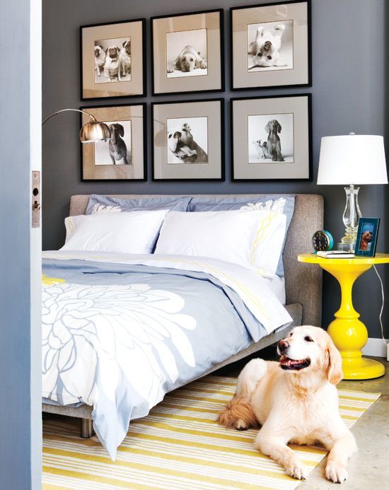 30-dog-themed-bedroom-decorating-ideas-decor-buddha