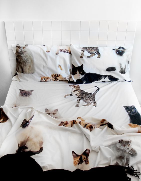 Cat Themed Bedroom Decorating Ideas 30 Ideas For Cat Lovers